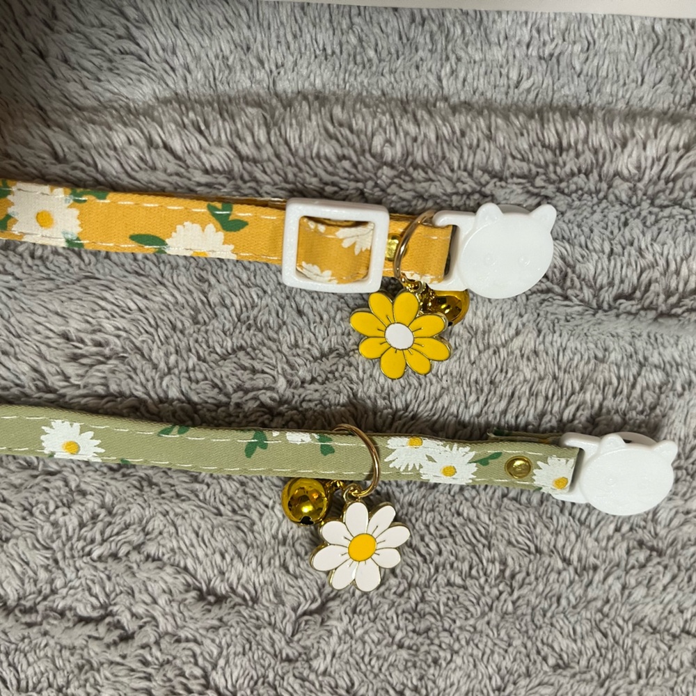 Never Worn Cat Collars, Quick Release